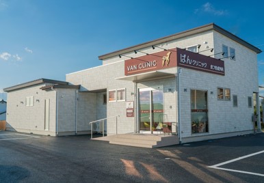 ばん皮フ形成外科クリニック（松本）メンズ医療脱毛2