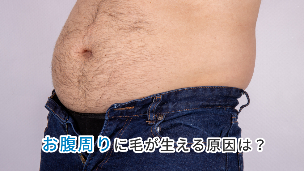 男性のお腹周りを脱毛するメリットとは 必要期間と料金相場を解説 メンズタイムズ