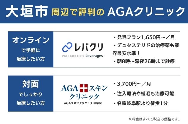 大垣で安くておすすめのAGAクリニックは、オンラインならレバクリ、対面ならAGAスキンクリニック岐阜院