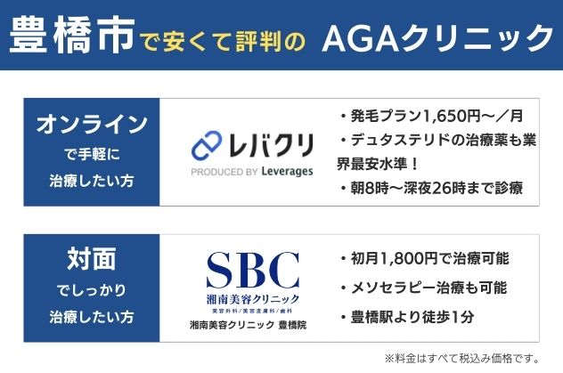 豊橋で安くておすすめのAGAクリニックは、オンラインならレバクリ、対面なら湘南美容クリニック豊橋院