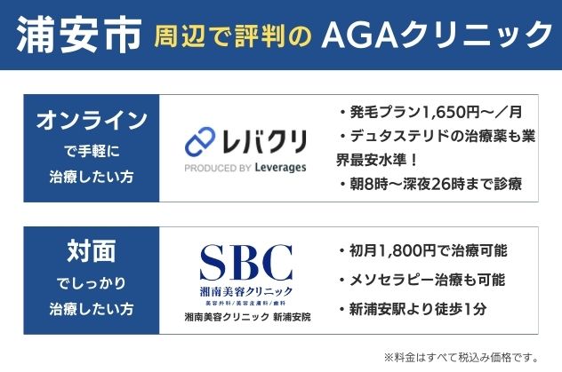 浦安で安くておすすめのAGAクリニックは、オンラインならレバクリ、対面なら湘南美容クリニック新浦安院