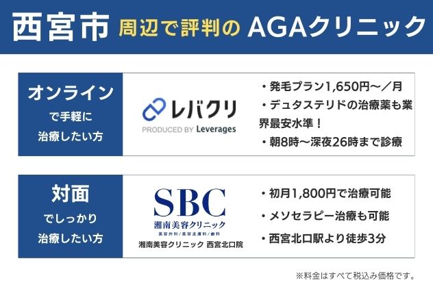 西宮で安くておすすめのAGAクリニックは、オンラインならレバクリ、対面なら湘南美容クリニック西宮北口院