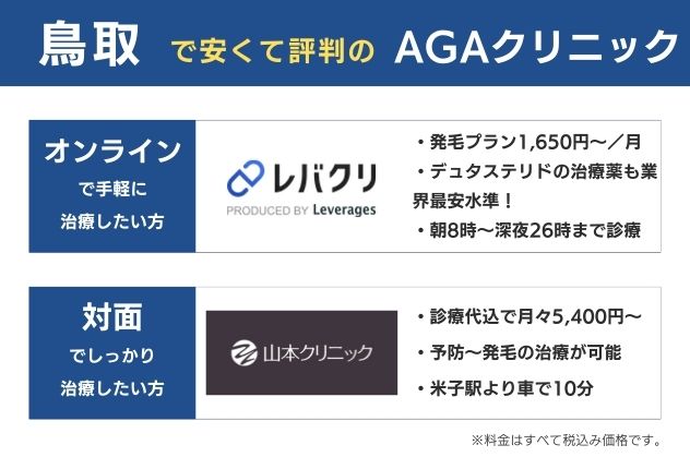 鳥取で安くておすすめのAGAクリニックは、オンラインならレバクリ、対面なら山本クリニック