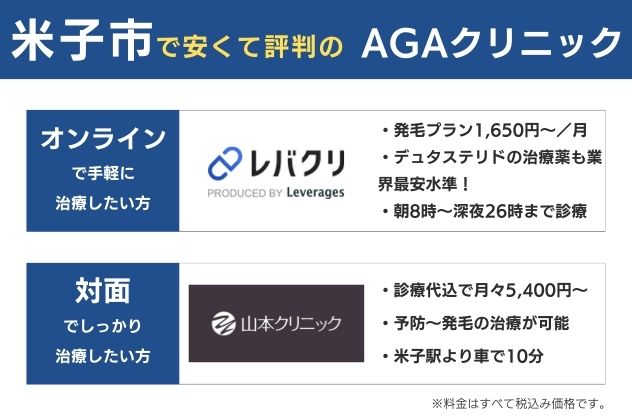 米子で安くておすすめのAGAクリニックは、オンラインならレバクリ、対面なら山本クリニック