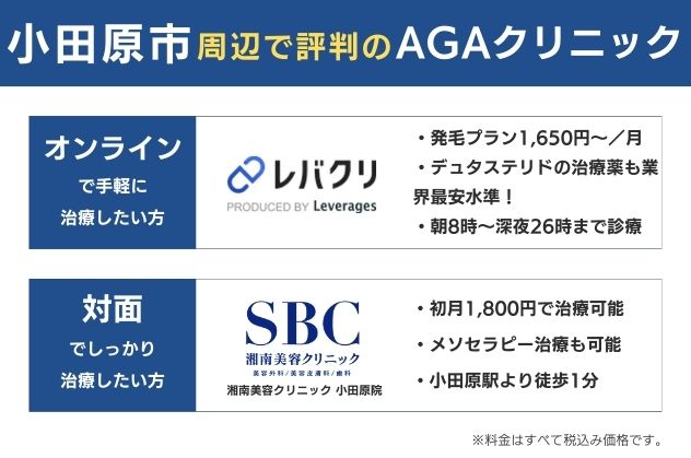 小田原で安くておすすめのAGAクリニックは、オンラインならレバクリ、対面なら湘南美容クリニック小田原院