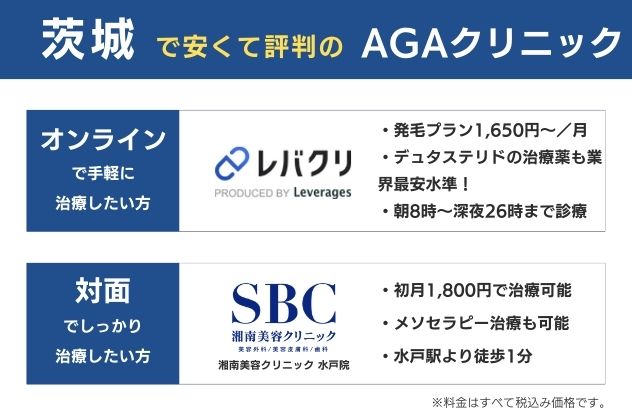 茨城で安くておすすめのAGAクリニックは、オンラインならレバクリ、対面なら湘南美容クリニック水戸院
