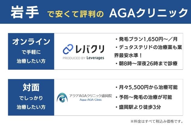 岩手で安くておすすめのAGAクリニックは、オンラインならレバクリ、対面ならアクアAGAクリニック盛岡院