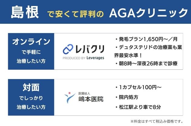 島根で安くておすすめのAGAクリニックは、オンラインならレバクリ、対面なら嶋本医院