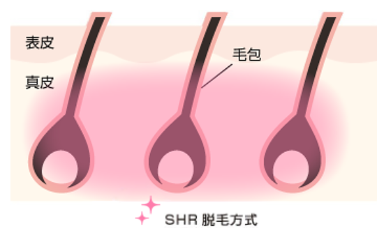 トータルケア&脱毛サロンmeguri5