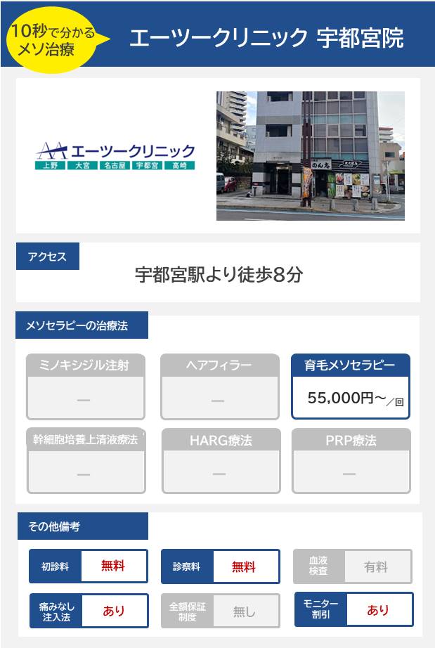 エーツークリニック 宇都宮院のメソセラピー治療の料金・費用