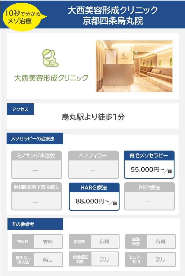 大西美容形成クリニック 京都四条烏丸院のメソセラピー治療の料金・費用