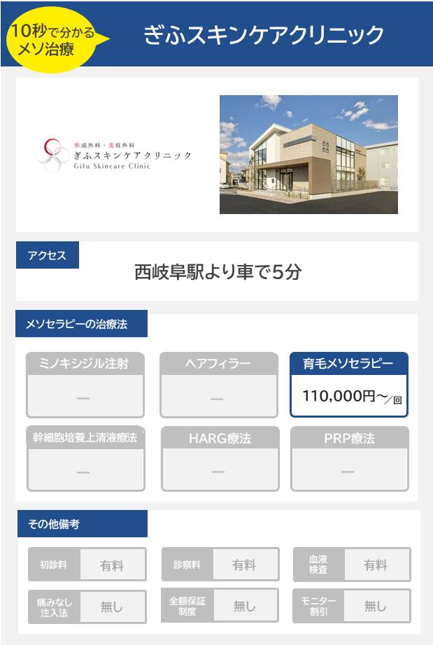 ぎふスキンケアクリニックのメソセラピー治療の料金・費用