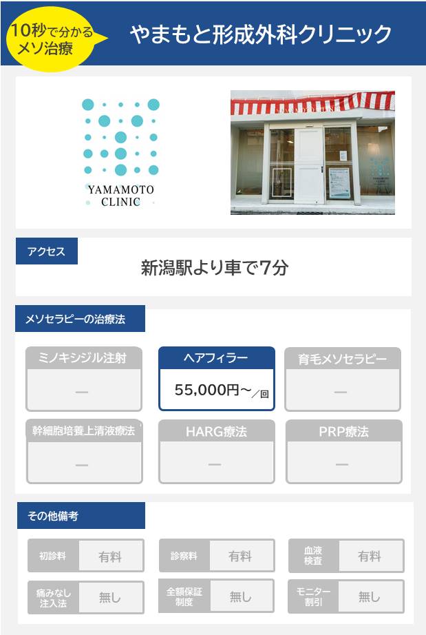 やまもと形成外科クリニックのメソセラピー治療の料金・費用