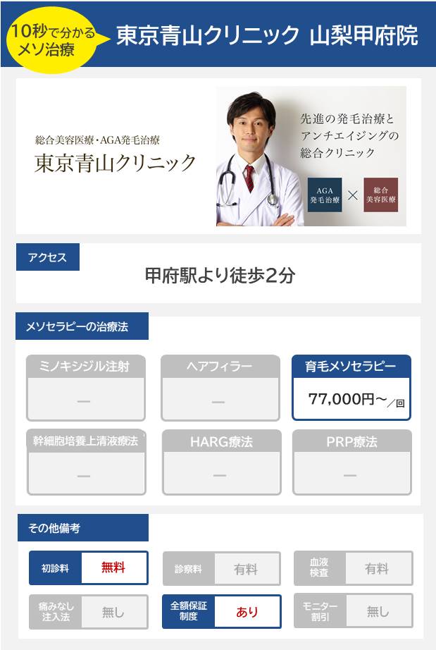 東京青山クリニック 山梨甲府院のメソセラピー治療の料金・費用