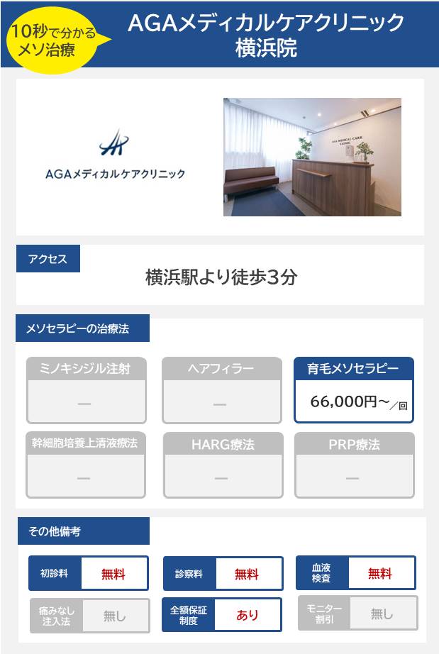 AGAメディカルケアクリニック 横浜院のメソセラピー治療の料金・費用