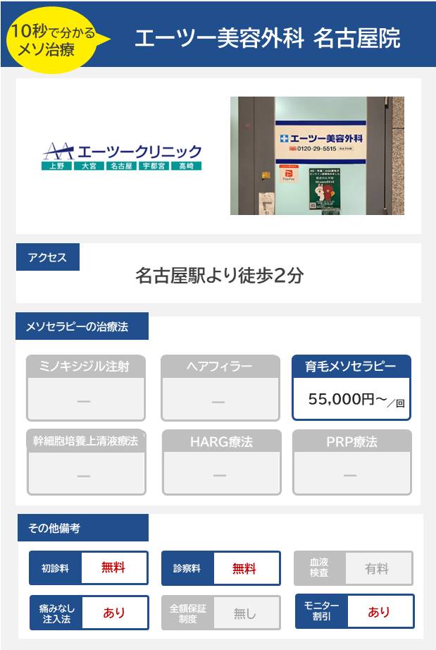 エーツー美容外科 名古屋院のメソセラピー治療の料金・費用