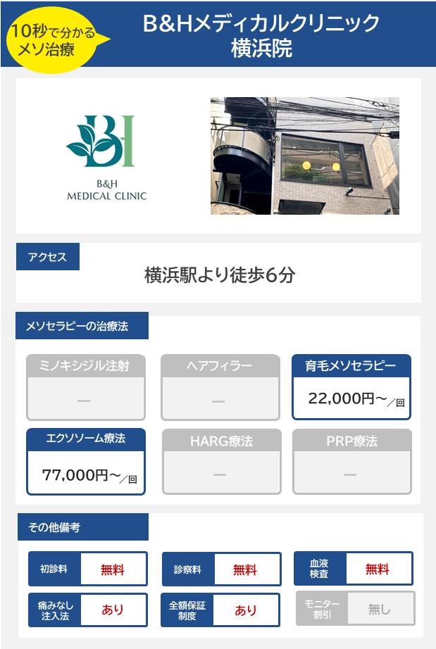 B&Hメディカルクリニック 横浜院のメソセラピー治療の料金・費用