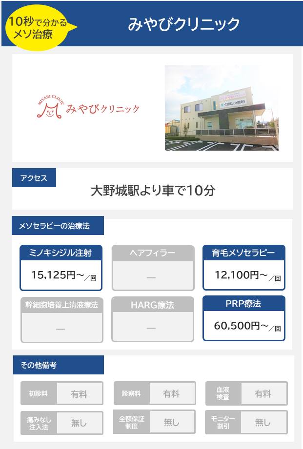 みやびクリニックのメソセラピー治療の料金・費用