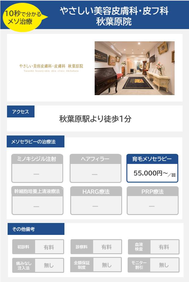 やさしい美容皮膚科・皮フ科 秋葉原院のメソセラピー治療の料金・費用