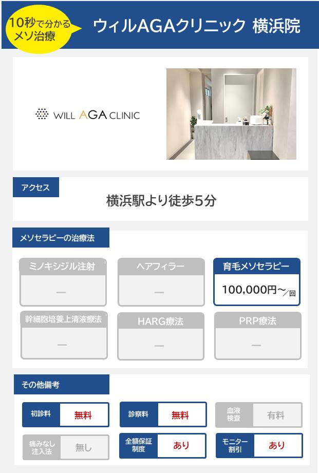 ウィルAGAクリニック 横浜院のメソセラピー治療の料金・費用