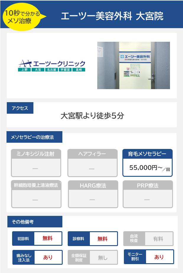 エーツー美容外科 大宮院のメソセラピー治療の料金・費用