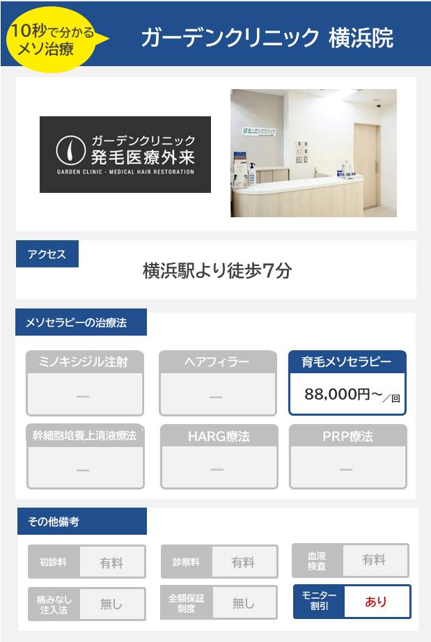 ガーデンクリニック 横浜院のメソセラピー治療の料金・費用
