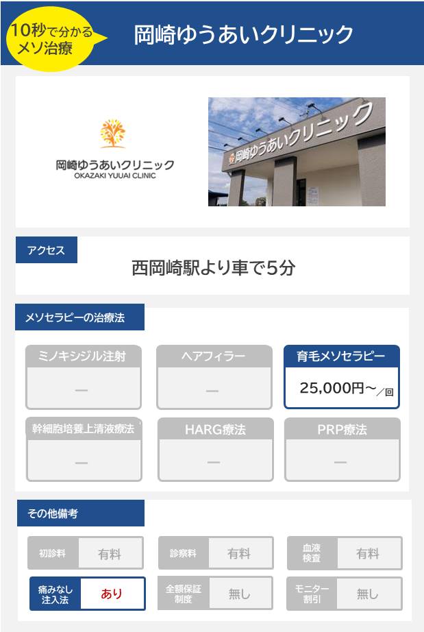 岡崎ゆうあいクリニックのメソセラピー治療の料金・費用