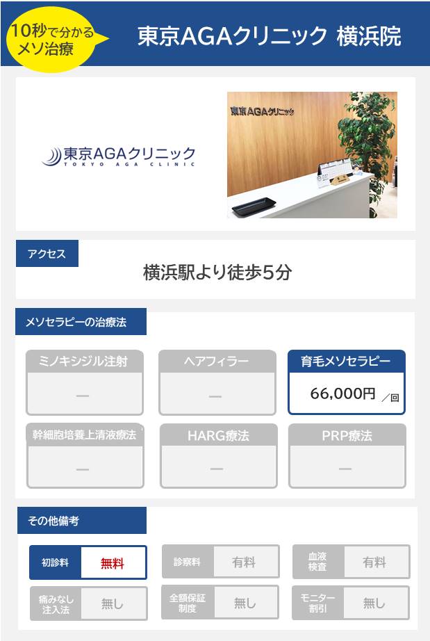東京AGAクリニック 横浜院のメソセラピー治療の料金・費用