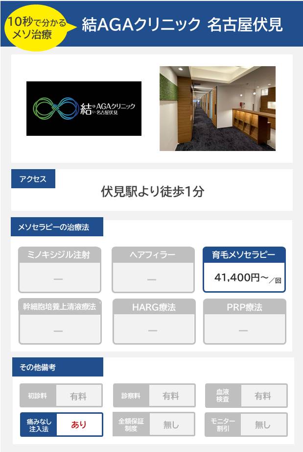 結AGAクリニック 名古屋伏見のメソセラピー治療の料金・費用