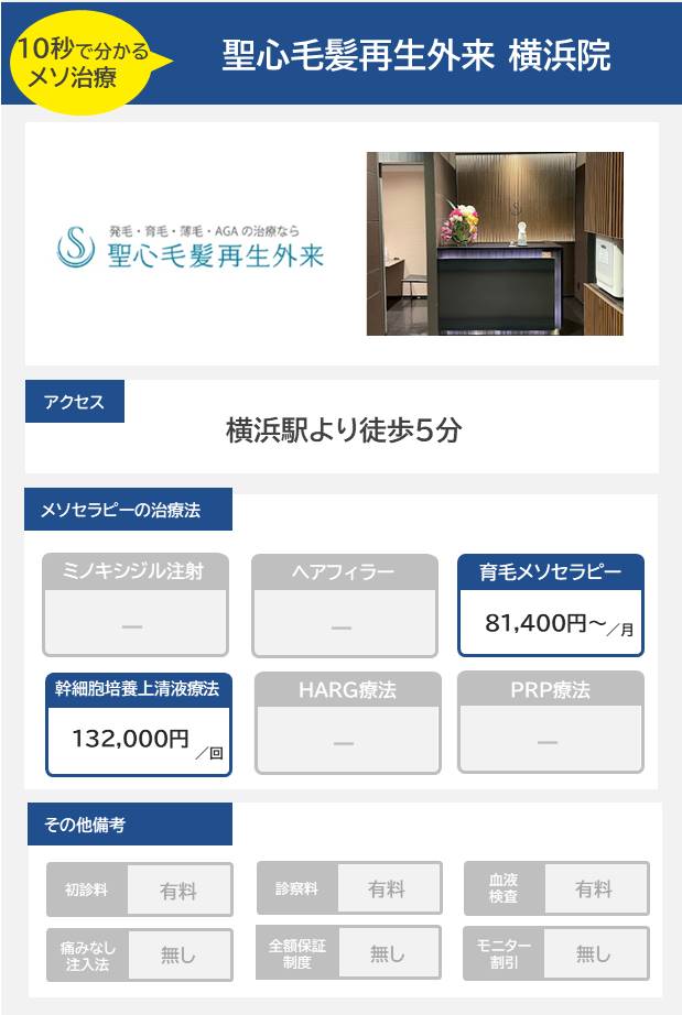 聖心毛髪再生外来 横浜院のメソセラピー治療の料金・費用