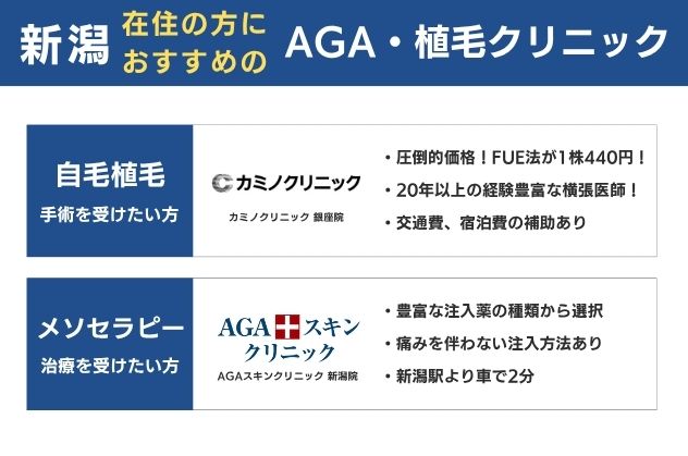 新潟県在住の方におすすめの自毛植毛・メソセラピー注入クリニック